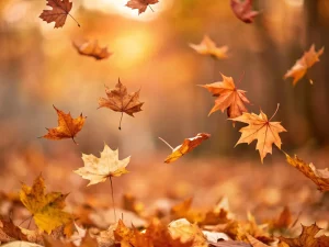 Szeptemberi elvonulás